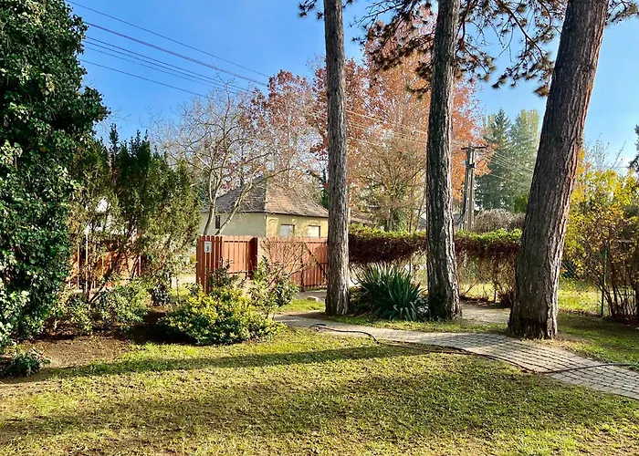 Willa Nefelejts Deluxe *