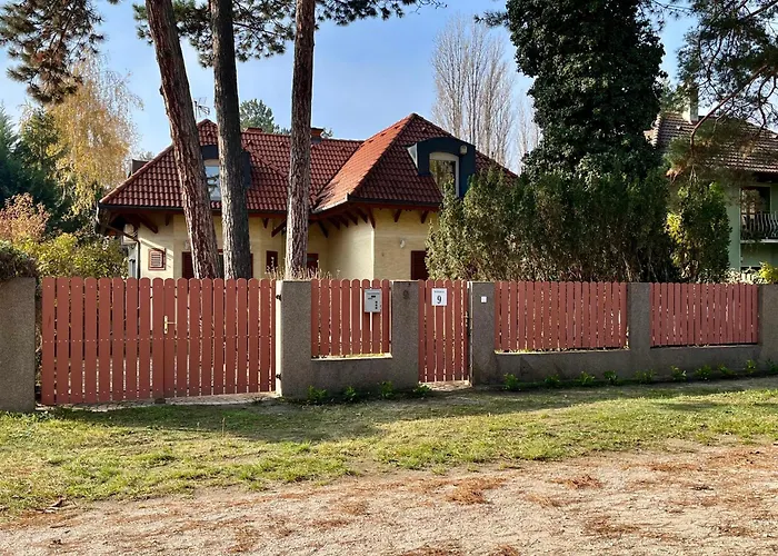 Nefelejts Deluxe Willa *